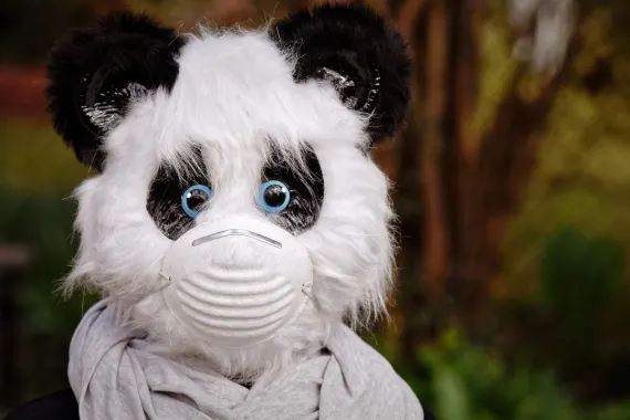 Kasino Cabaret Club Sokongan